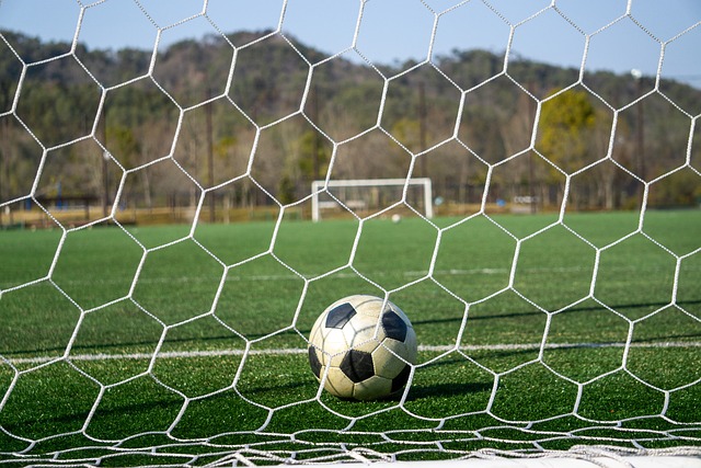 联盟的竞争 联盟的竞争