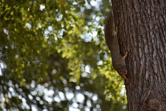 背后的战术 背后的战术
