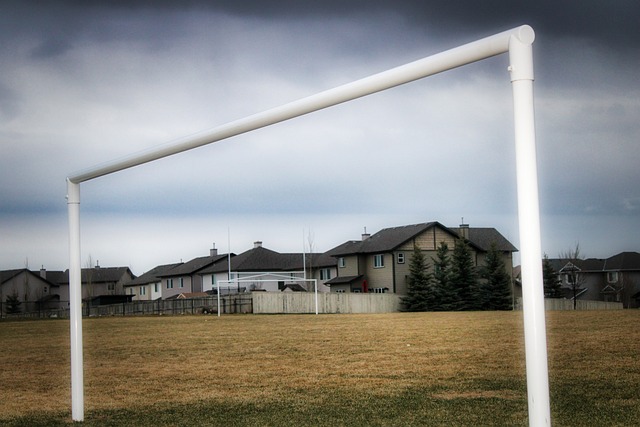 体现出丰富 体现出丰富