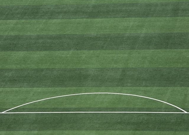 以其出色的 以其出色的