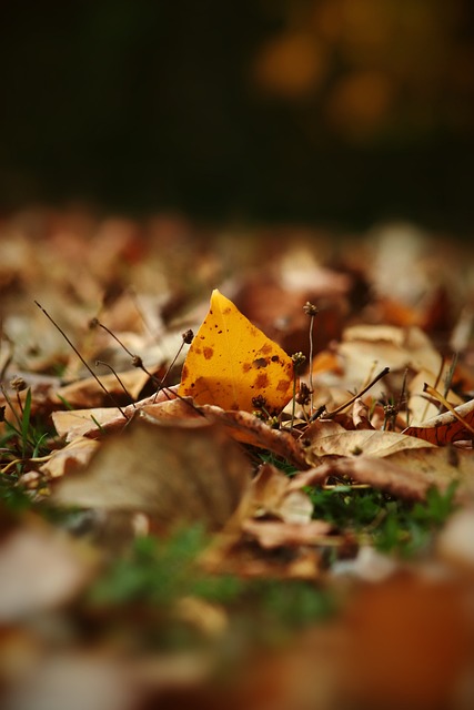 奏的掌控力 奏的掌控力