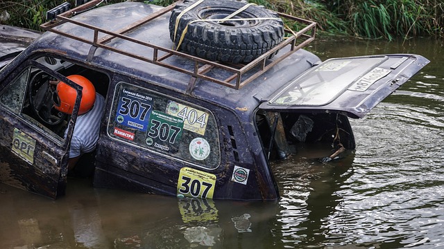 在缺乏新前 在缺乏新前